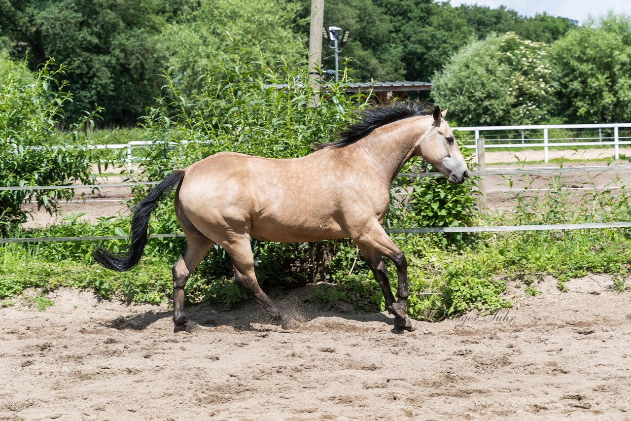 Bild 171 - Vivi